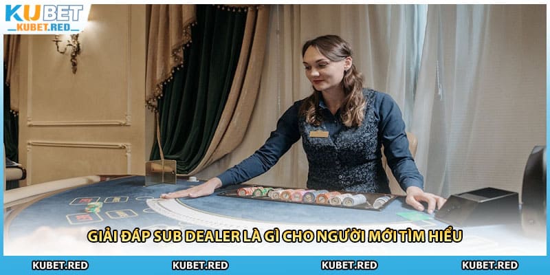 Giải đáp sub dealer là gì cho người mới tìm hiểu